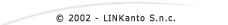 Copyright linkanto 2002